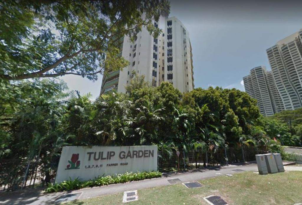 tulip-garden-sold-s9069-million-second-largest-en-bloc-deal-year
